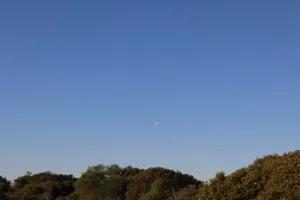 2025-06-21 Bartons Park - IMG_2495_compressed_q50.webp